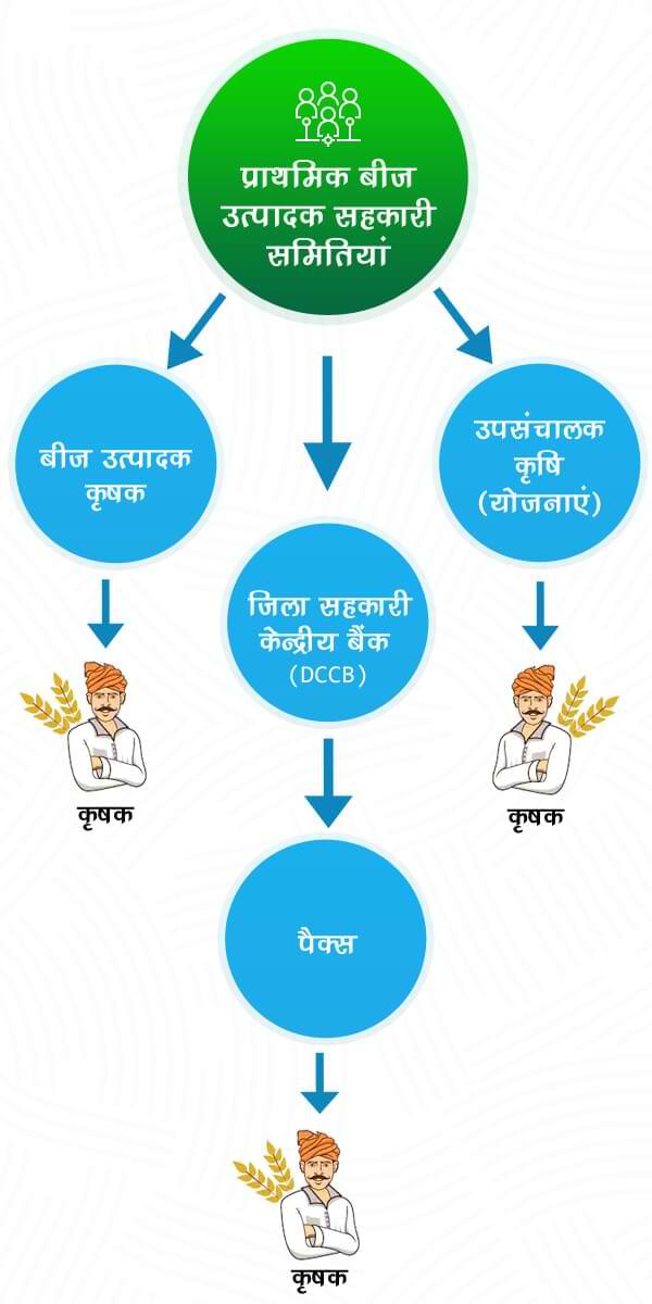 बीज संघ मध्यप्रदेश