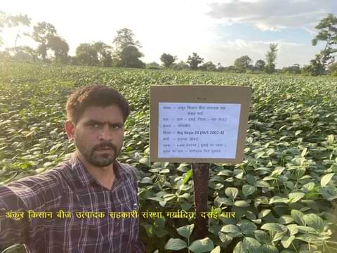 प्रक्षेत्र प्रदर्शन (खरीफ) - बीज संघ मध्यप्रदेश